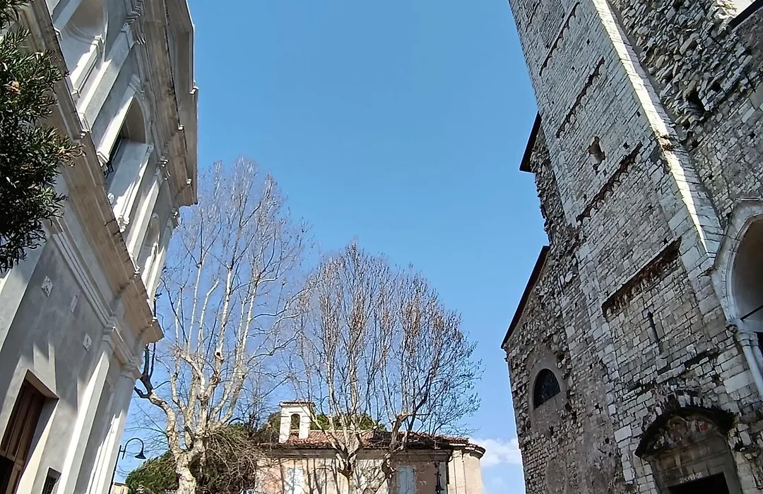 La tana del geco-1